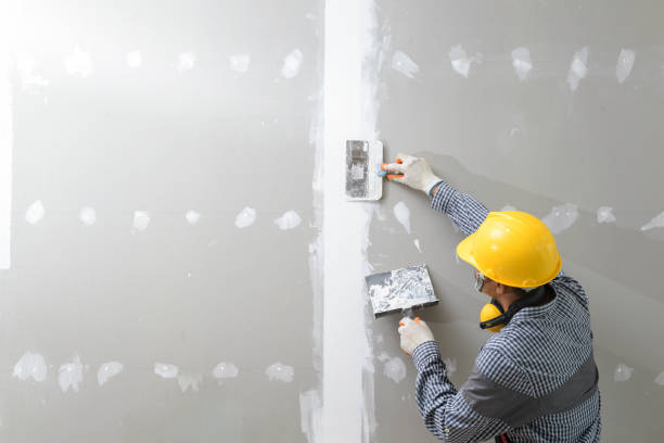 Best Mold Damage Restoration  in Anniston, AL