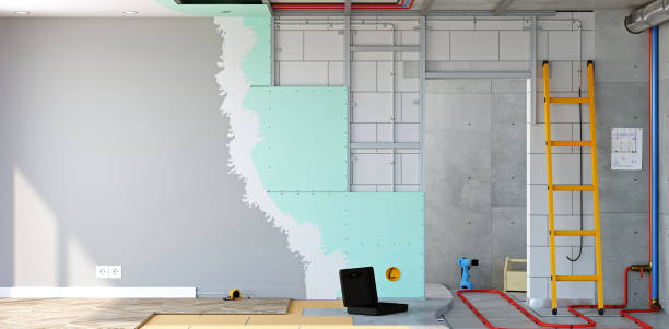 Best Post-Construction Mold Inspection  in Anniston, AL