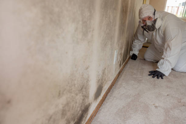 Best Indoor Air Quality Assessment  in Anniston, AL