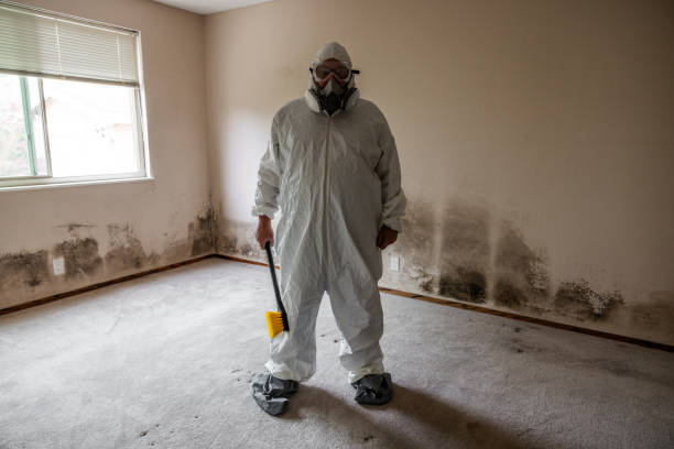 Best Attic Mold Removal  in Anniston, AL